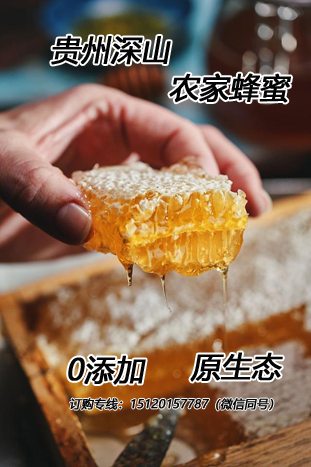 贵州深山农家蜂蜜原生态0添加