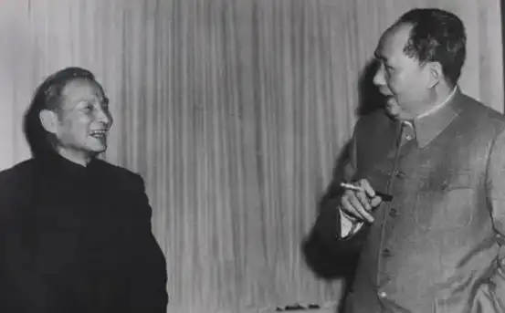 图片[3]-1973年毛主席召见陈云谈话七小时，陈云离开后叹息：我终于明白了-历史政治论坛-历史-寻找资源网