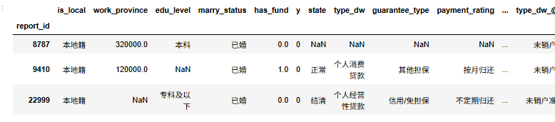 图片[12]-【Python数据分析案例（2025）】24——基于征信数据开发信贷风控模型