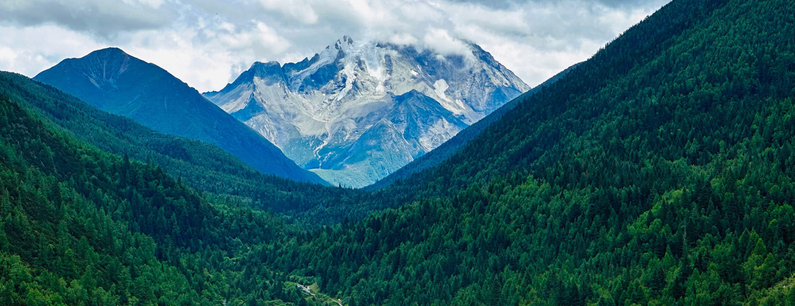 开通会员，拥有全站资源！-寻找资源网