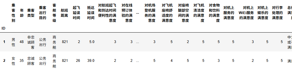 图片[5]-【Python数据分析案例（2025）】27——基于机器学习的航空公司满意度分析