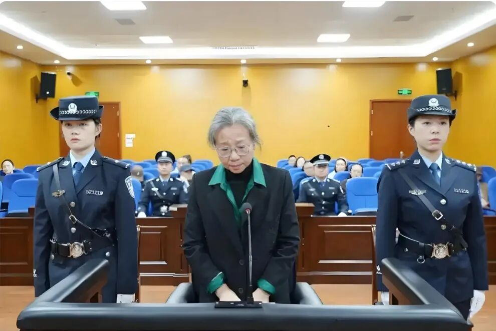 女厅官景亚萍受审，出庭时满头白发、满脸憔悴，不到一年判若两人-寻找资源网