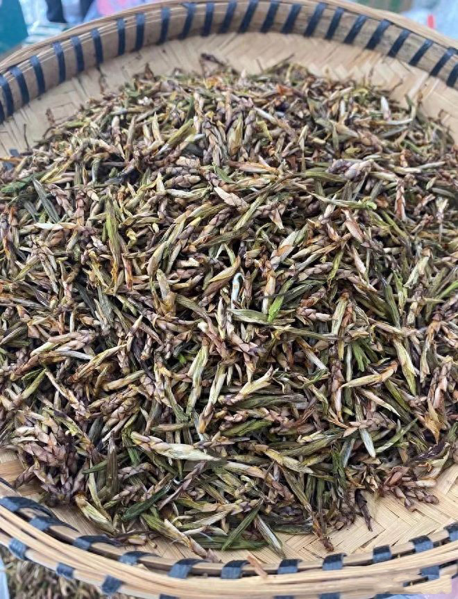 图片[1]-老鹰茶是什么茶？解密其独特魅力！-寻找资源网