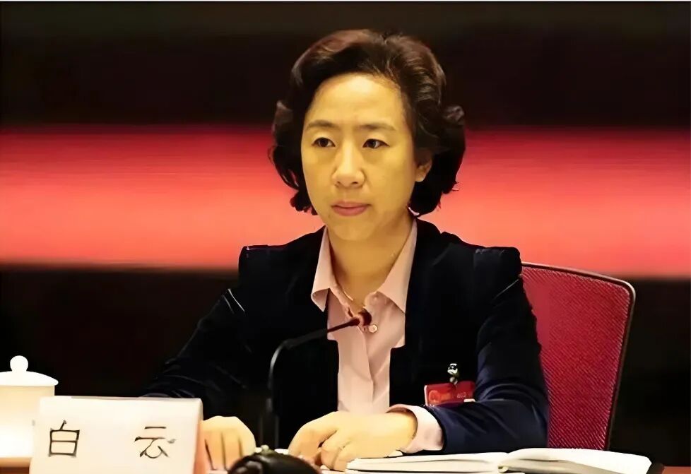 图片[2]-女书记白云的仕途往事：卫生员出身，官至副省，与煤老板狼狈为奸，贪婪无度-寻找资源网