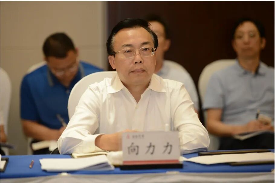 向力力的仕途往事：生活腐化奢靡，老家修建豪华庄园，极为贪婪，私人会所常客-寻找资源网