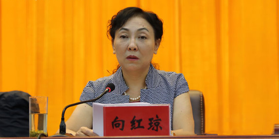 贵州女州长向红琼的两面人生，台上讲廉政，台下收三千万，一家三人全进牢里-寻找资源网