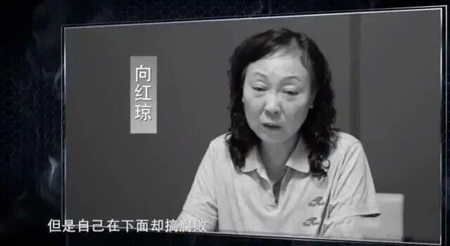 图片[3]-贵州女州长向红琼的两面人生，台上讲廉政，台下收三千万，一家三人全进牢里-寻找资源网