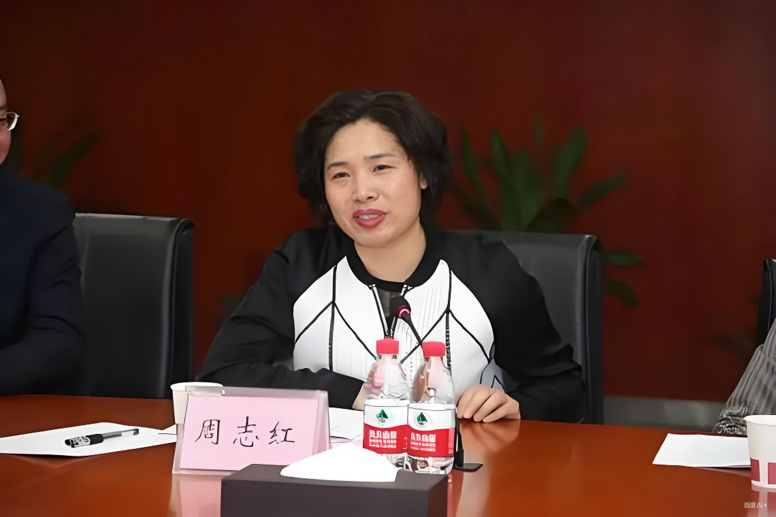 女市长周志红的荆州往事！上篇：三任主官相继被查-寻找资源网