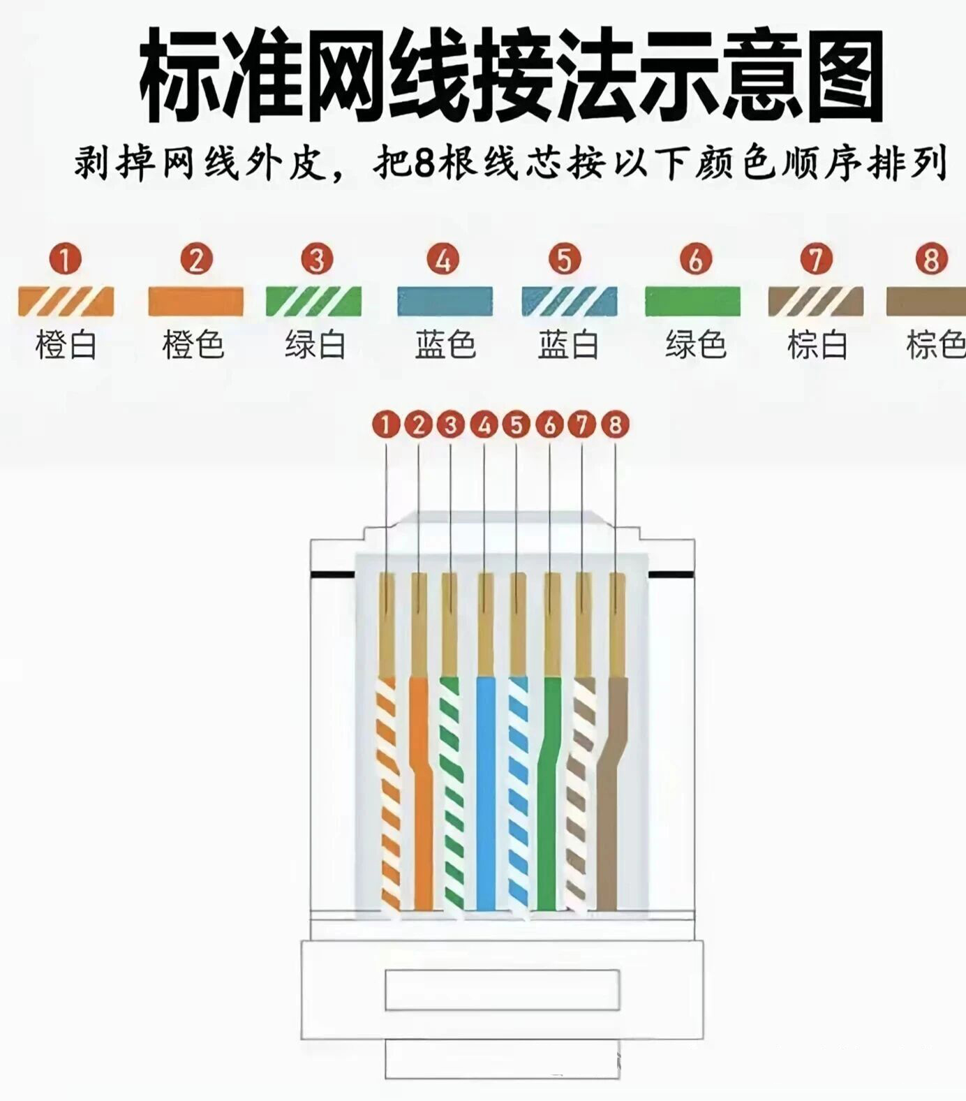 图片[3]-网线接法及网线钳如何使用？-寻找资源网