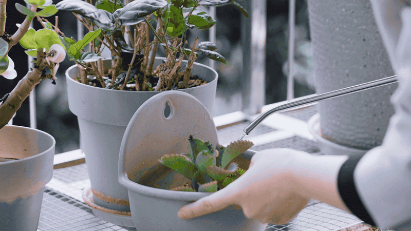 图片[28]-90后潮汕女孩画“现代春宫”，男性是配角-寻找资源网